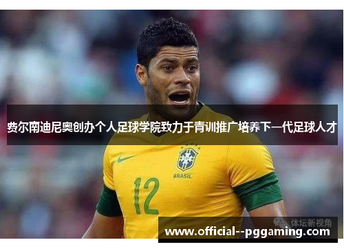 费尔南迪尼奥创办个人足球学院致力于青训推广培养下一代足球人才
