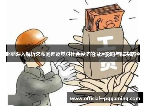 赵鹏深入解析欠薪问题及其对社会经济的深远影响与解决路径