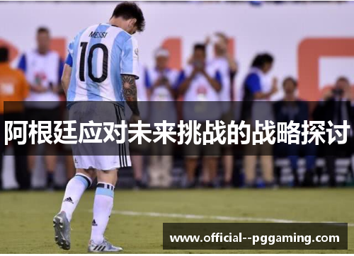 阿根廷应对未来挑战的战略探讨