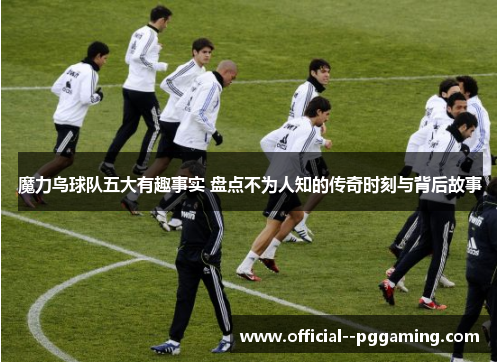 魔力鸟球队五大有趣事实 盘点不为人知的传奇时刻与背后故事