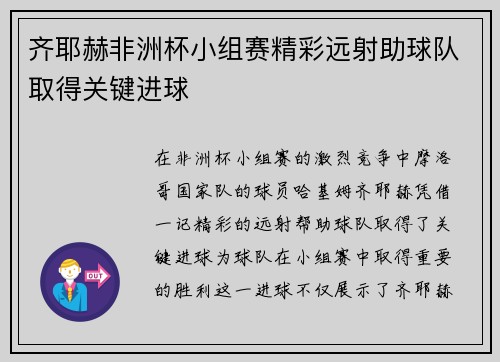 齐耶赫非洲杯小组赛精彩远射助球队取得关键进球